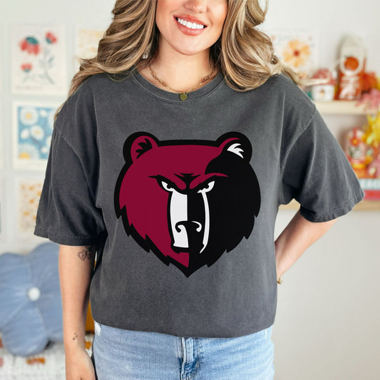 Davidson Academy Bears Logo Spangle